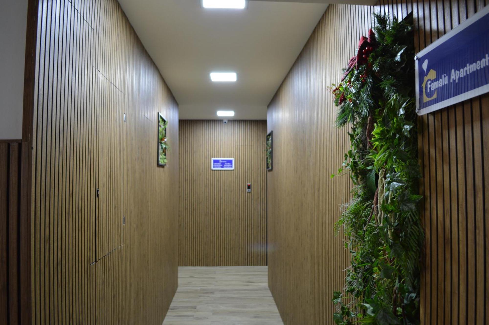 Famalu Apartments ナポリ エクステリア 写真